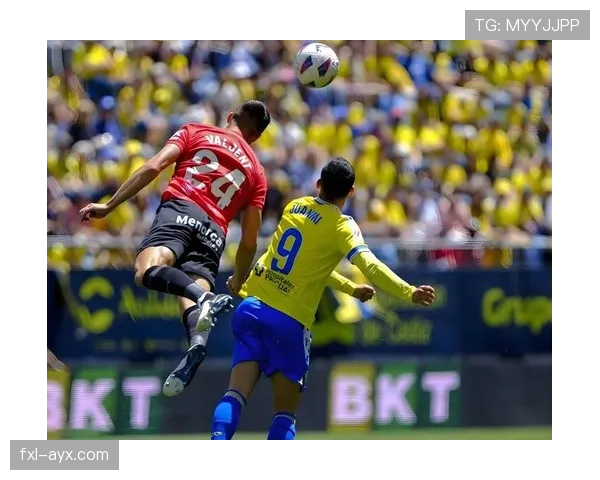 马洛卡控球能力稳步提升，整体实力持续增强引关注